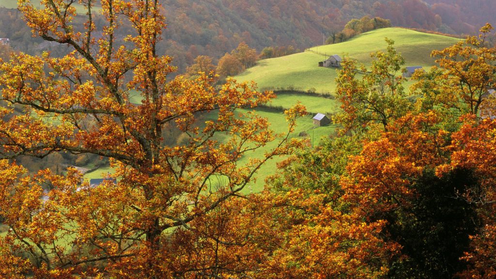 Thérapeute thérapie Alzheimer paysage d'automne